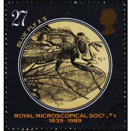 Great Britain. 1989 27p S.G.1454 Used