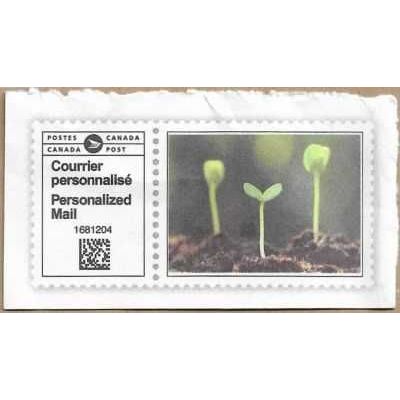 2024 Personalized Mail Plant 16060