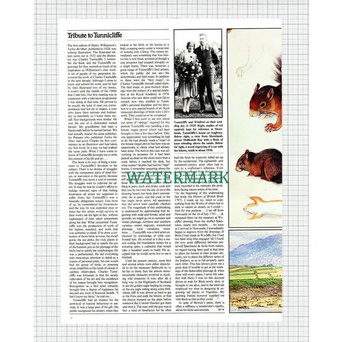 X1024) Tribute To Charles Tunnicliffe Country Artist - 1980 Article