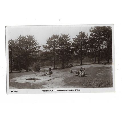 Wimbledon Common, Caeser's Wall, Surrey, RP Postcard.
