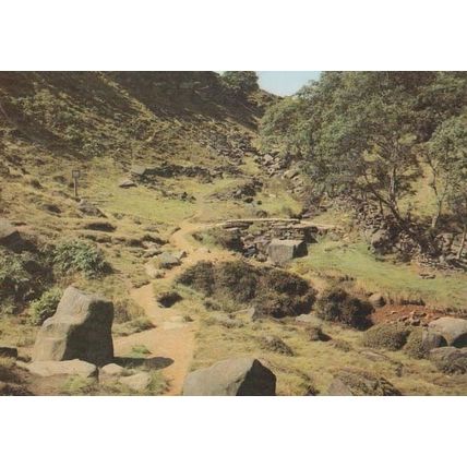Charlotte Bronte The Valley Of The Falls Seat Yorkshire Moors Haworth Postcard