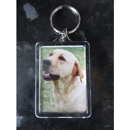 DOG BREED KEY RINGS QUALITY ACRYLIC DOUBLE SIDED PHOTO KEY RINGS 33 BREEDS