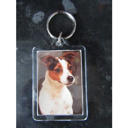 DOG BREED KEY RINGS QUALITY ACRYLIC DOUBLE SIDED PHOTO KEY RINGS 33 BREEDS