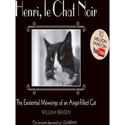 Henri, le Chat Noir