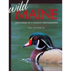 Wild Maine