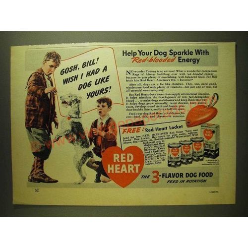 1941 Red Heart Dog Food Ad - Gosh, Bill! Wish I had a dog like yours