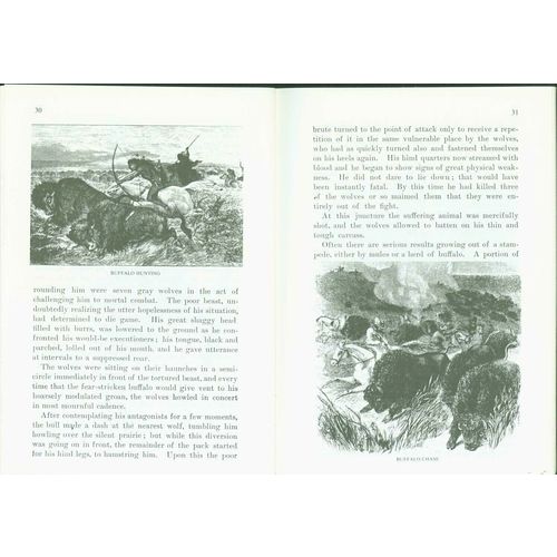 The Buffalo: 1898. by Henry Inman & "Buffalo Bill" Cody..1-29 lots of 10 copies