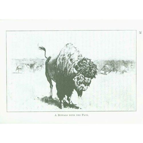 The Buffalo: 1898. by Henry Inman & "Buffalo Bill" Cody..1-29 lots of 10 copies