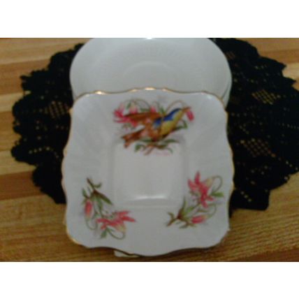 Royal Stafford Warbler design square dish