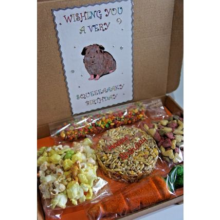 GUINEA PIG BIRTHDAY BOX DECORATED BOX FILLED WITH TREATS FOR A SQEUAKY BIRTHDAY