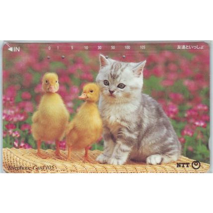 Kitten & Ducklings Japan NTT Phone Card