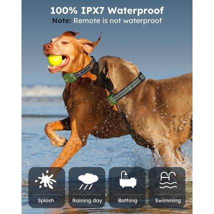 Jugbow Dog Shock Collar 2 Dogs (10-120Lbs) - 4200FT Dog Training Collar with Rem