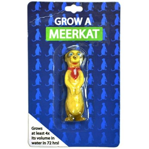 Grow Your Own Meerkat Novelty Gift