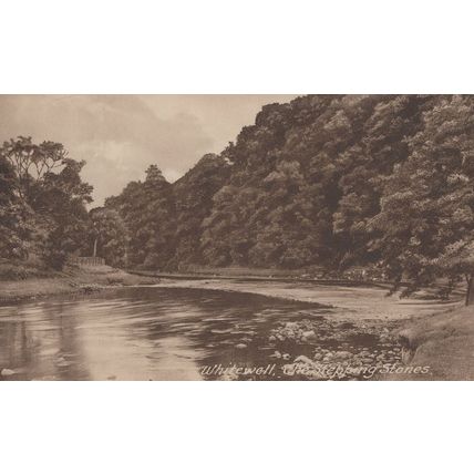 Whitewell Stepping Stones Lancashire River Antique Postcard