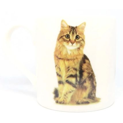Tabby Cat Mug Fine China 8 CM Ceramic Tableware Home Decor Beverage Kitty Gift
