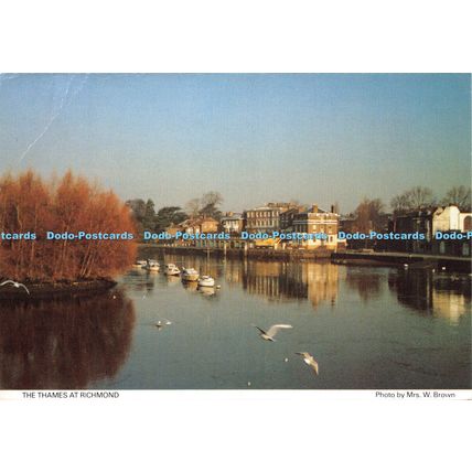 D023129 The Thames at Richmond. Mrs. W. Brown. Judges. Royal British Legion Wome
