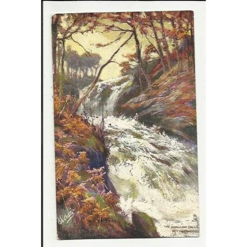 7198 Wales BETTWS-Y-COED Swallow Falls Tuck Oilette Postcard