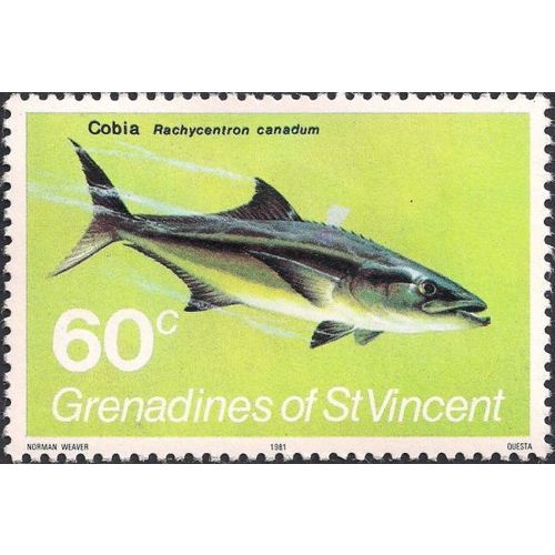 GRENADINES, FISH, Cobia, yellow 1981, 60c