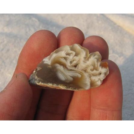 Ocho Geode Crystal Gemstone Spiritual Metaphysical Meditation 1.5 Inch