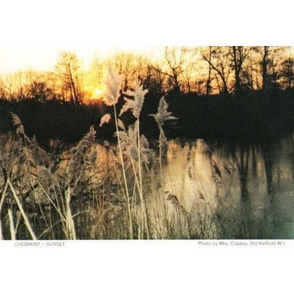 Cheshunt Golden Sunset Herts Hertfordshire Womens Institute Postcard