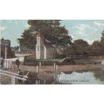 Lingfield Old Cage & Pond Surrey Unused Ex Postcard
