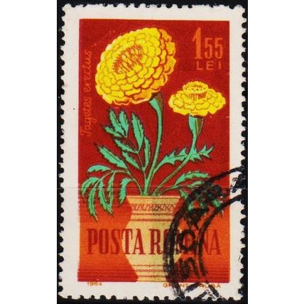 Romania. 1964 1L55 S.G.3141 Used