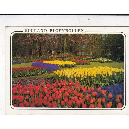 Holland in Bloom Postcard posted 1993 creased