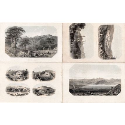 Dead Sea Cedars Of Lebanon Antiogh Jerusalem 4x PB Old Postcard s