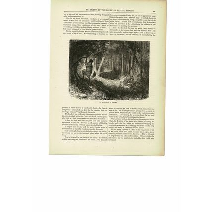 Aboriginal In Danger, Mexico, Book Illustration (Print), c1880