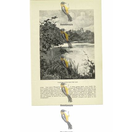 Warwick Castle From The Park, Book Illustration (Print), 1891