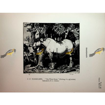 White Horse & Black Ducks No 2, Book Illustration (Print), 1930