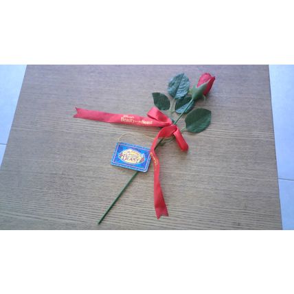 BEAUTY and the BEAST Enchanted Rose (Disney on Ice) Vintage