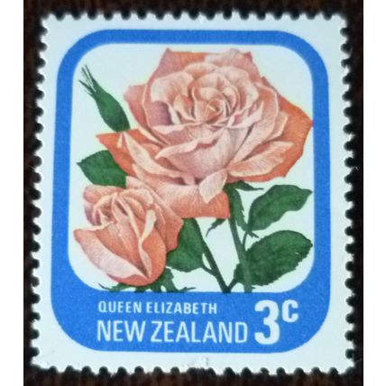 New Zealand 1975 Garden Roses 3c Queen Elizabeth mint stamp SG1088 flowers