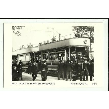 Sussex BRIGHTON Racecourse Trams Postcard (Pamlin M555)