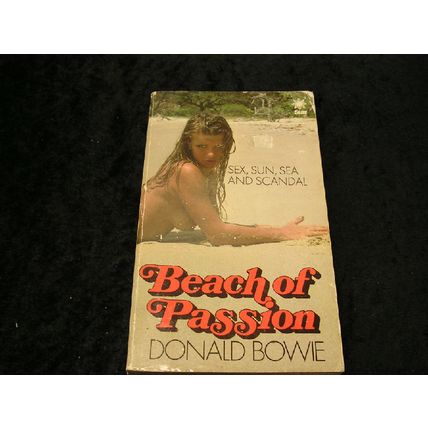 Beach of Passion by Donald Bowie