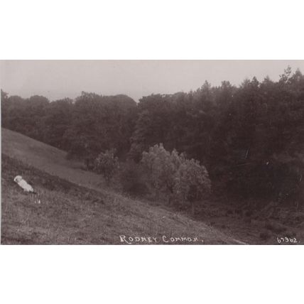 Rodney Common Baby Deserted Chelmsford Essex Old Real Photo Postcard
