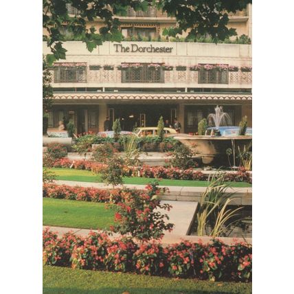 Gardens at Dorchester Hotel London 1980s Rare Postcard