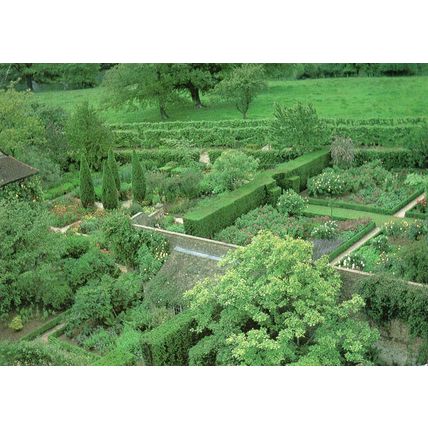 SISSINGHURST CASTLE GARDEN - Rose Garden - Kent - Real Photo Postcard (500M)