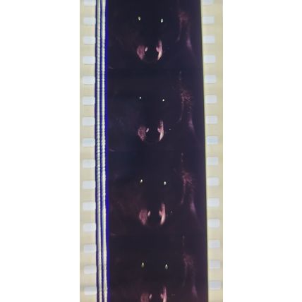 Dracula . Pk AA - A018r. 1 STRIP OF 10 - 35MM FILM CELLS
