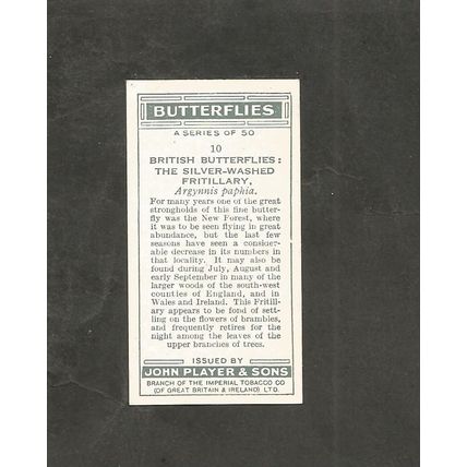 Cigarette Card Players Butterflies 1932 #10 Silver Washed Fritillary