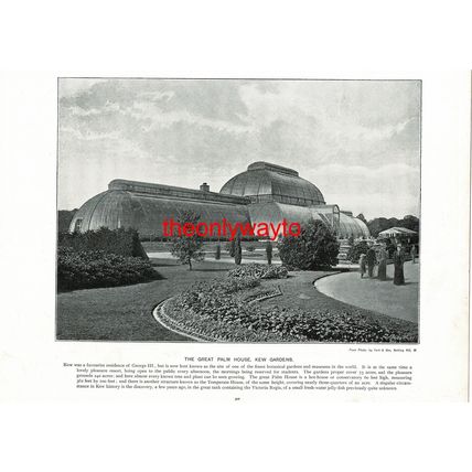 Palm House, Kew & Greenwich Observatory, Book Illustration (Print), c1897