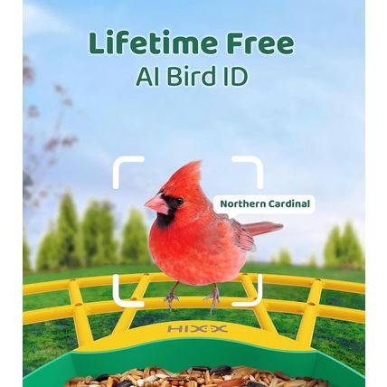 HIXX Smart Bird Feeder with Camera, Lifetime Free AI Bird Species Recognition, S