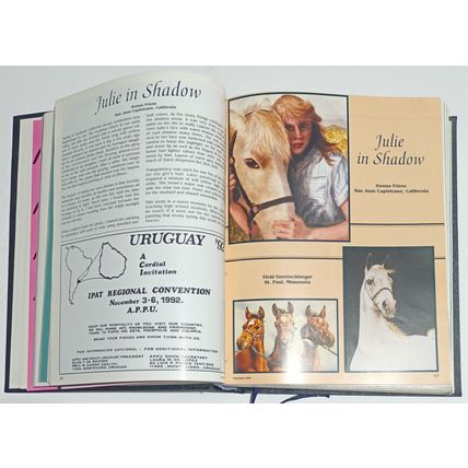 Vintage 1992-1994 International Porcelain Artists & Teachers Volume 32, 33, 34.
