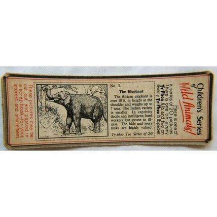 1955 Typhoo Wild Animals card 3 The Elephant