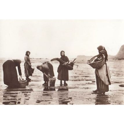 Frank Meadow Sutcliffe Yorkshire Fishing Net Girls Fishergirls Inventor Postcard
