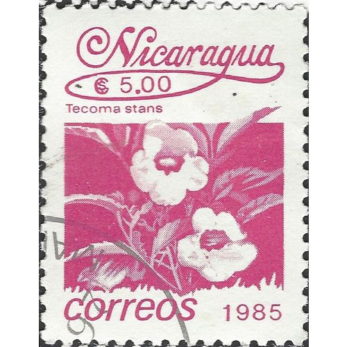 NICARAGUA, FLOWER, Tecoma stans, violet 1985, $5