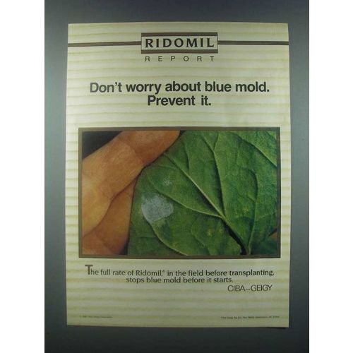 1985 Ciba-Geigy Ridomil Ad - About Blue Mold