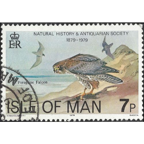 ISLE O MAN, BIRD, Peregrine Falcon, grey 1979, 7p