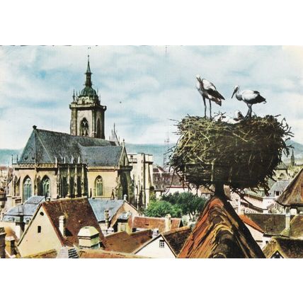Colmar Nid de Cicognes France Postcard unused VGC