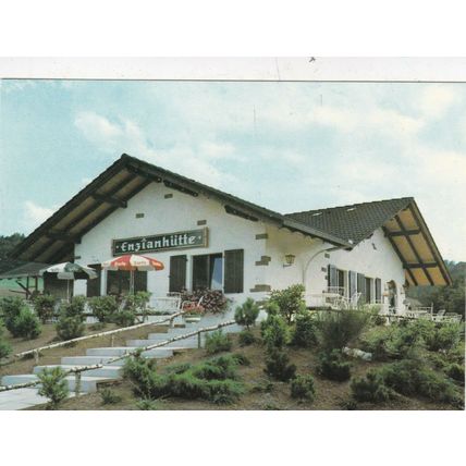 Enzianhutte Restaurant Reileifzen Germany Postcard used VGC